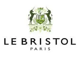 Logo Lebristol Paris